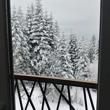 Apartament Joy