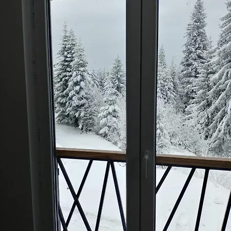 Joy Διαμέρισμα Τζαχορίνα