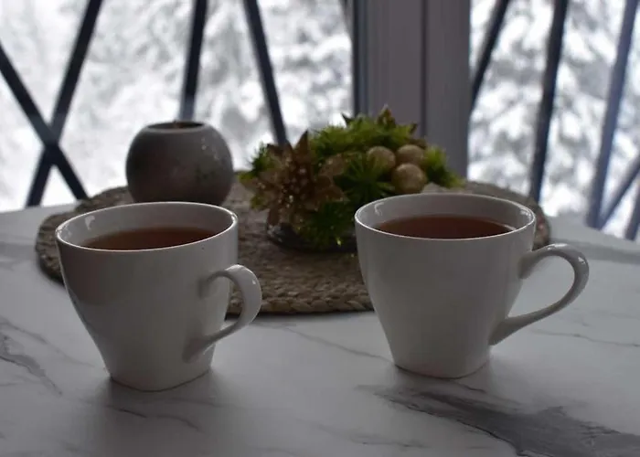 Joy 아파트 자호리나