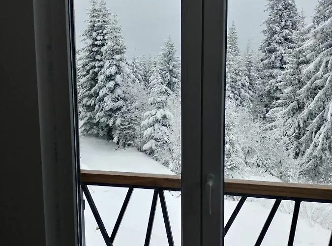 Joy 아파트 자호리나